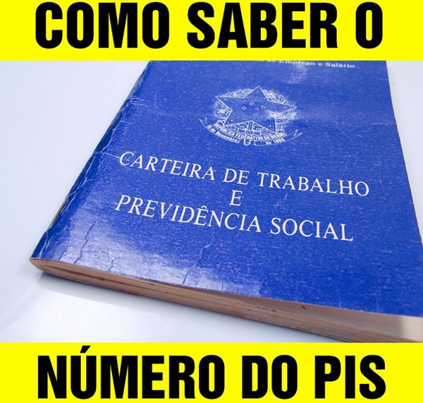 consulta-numero-do-pis